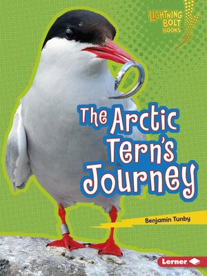 cover image of The Arctic Tern's Journey